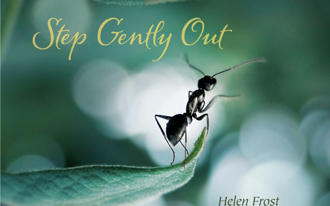 Step Gently Out